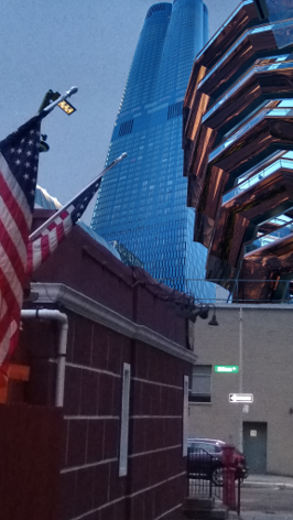 Sunnyside Yards Newsletter #6